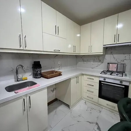 아파트 3+1 House With Garden In The New Building 이스탄불
